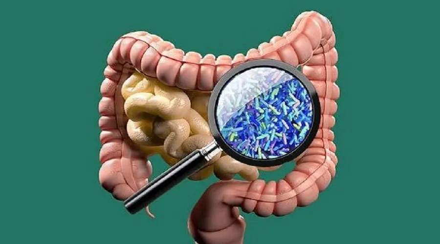 میکروبیوم قوی روده می تواند در مبارزه با عفونت موثر باشد