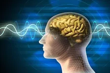ساخت ابزار جدید برای تشخیص تومور مغزی
