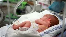 پیگیری طراحی سامانه مرتبط با اهداکنندگان 