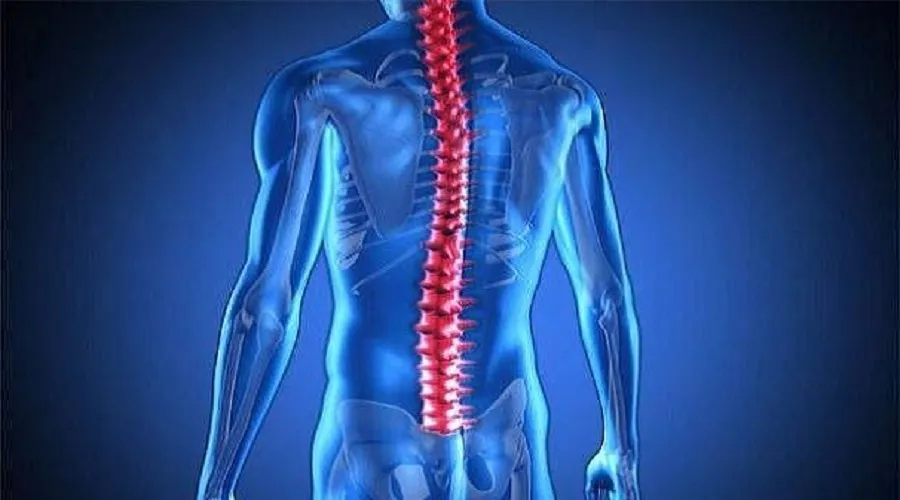 ضایعه نخاعی به متابولیسم بدن آسیب می‌رساند
