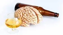 فواید چند نوشیدنی گرم زمستانی