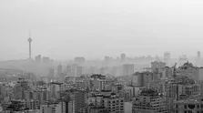 هفته دولت و وظایف دولت در حوزه سرطان