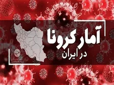 شناسایی ۵۳۸ بیمار جدید کرونا و فوت ۳ تن دیگر در شبانه‌روز گذشته