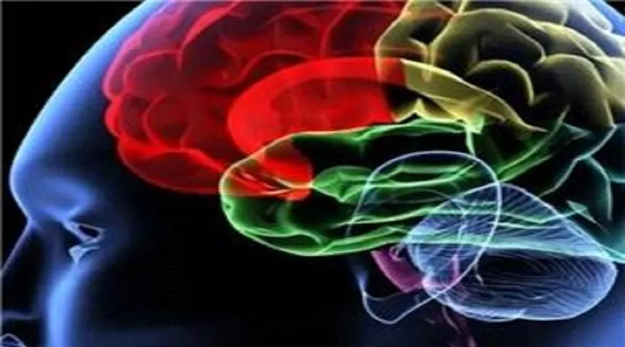ساخت ابزار جدید برای تشخیص تومور مغزی