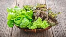 ‌می‌دانستید سیر قند خون و کلسترول را کاهش می‌دهد؟