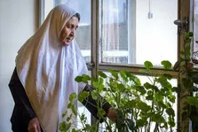 داروهای اختلال بیش فعالی به درمان آلزایمر کمک می کنند