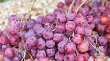 این دو سرطان‌ بلای جان مردان!
