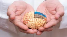 دلیل اینکه زنان بیشتر آلزایمر می‌گیرند چیست؟