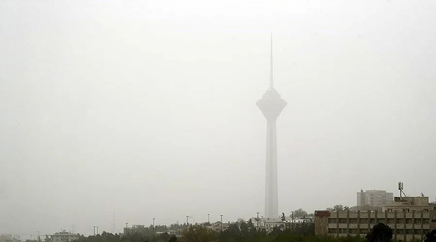در روزهای آلودگی هوا چای سبز و شیر بنوشید
