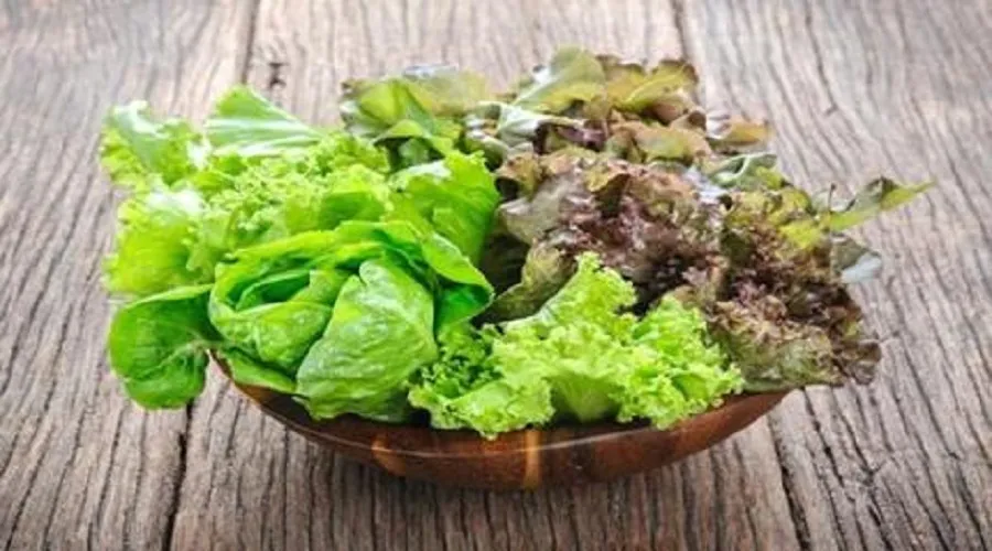 ۹ خاصیت شگفت‌انگیز کاهو