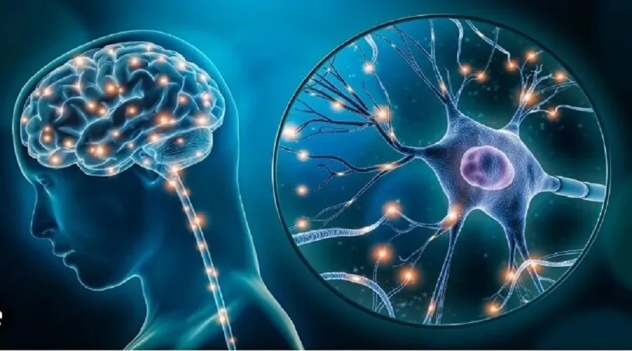 شگفتی‌های مغز زنان/ ۷۰ درصد افکار ذهن ما منفی است