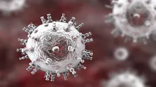ویروس HMPV ردیابی و رصد می‌شود