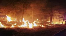 آلودگی محیط به باروری مردان و زنان آسیب می‌زند