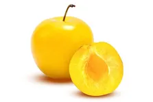 مواد غذایی سرشار از آهن کدام ها هستند؟