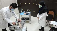 استادیاران جوان دانشگاه‌های علوم پزشکی ۲ گرنت پژوهشی می‌گیرند