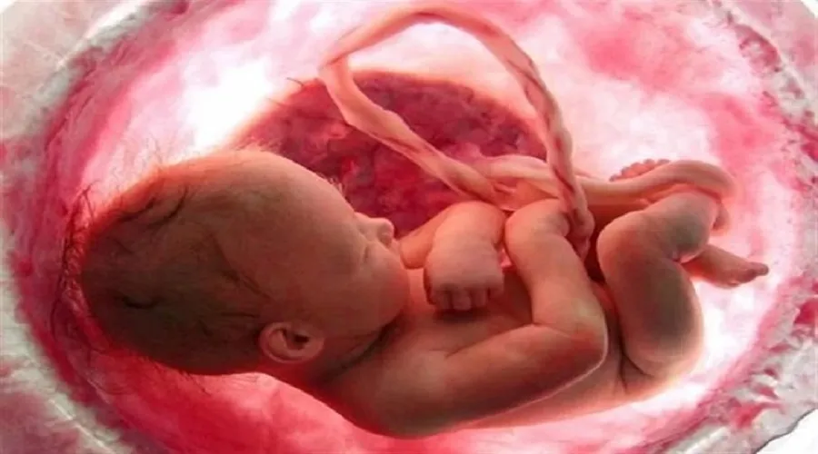 احتمال افزایش بارداری طبیعی بعد از بچه دار شدن از طریق IVF