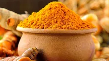 کشف خواص ضدباکتریایی زردچوبه و ریواس؛ حتی قوی‌تر از آنتی بیوتیک