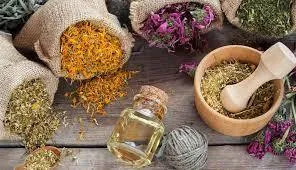 تبلیغ اقدامات درمانی طب سنتی و دارو‌های گیاهی نیازمند اخذ مجوز از نظام پزشکی