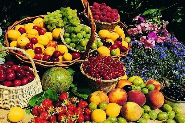 کدام میوه‌ها دوستدار کبد شما هستند؟