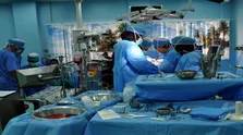 هشدار ایلان ماسک درباره کاهش نرخ فرزندآوری