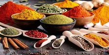 مشکلات پزشک خانواده شهری/ دست وزارت بهداشت خالی است
