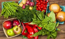 کمیته روابط عمومی انجمن رادیوانکولوژی ایران تشکیل جلسه داد
