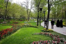نقش پروتئین‌های کوچک در عملکرد قلب