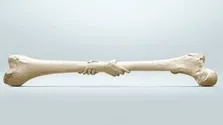 نجات هشت زندگی با یک امضا؛ آماده‌اید زندگی هدیه کنید؟