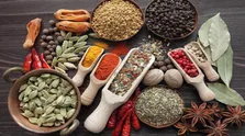 جزئیات پوشش جدید بیمه‌ای برای خدمات طب ایرانی