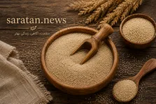 از شیر مادر تا صبحانه مدرسه؛ مسیر سلامت کودکان ایرانی