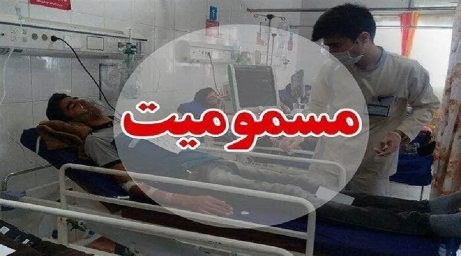 ۲۳۳ نفر قربانی قارچ‌های سمی در بهار امسال/خرید قارچ فله ممنوع