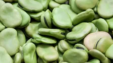 رژیم غذایی کم کربوهیدرات در بهبود دیابت نوع۲ موثر است