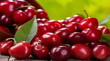 مصرف چه نوشیدنی‌هایی در تابستان توصیه می‌شود؟