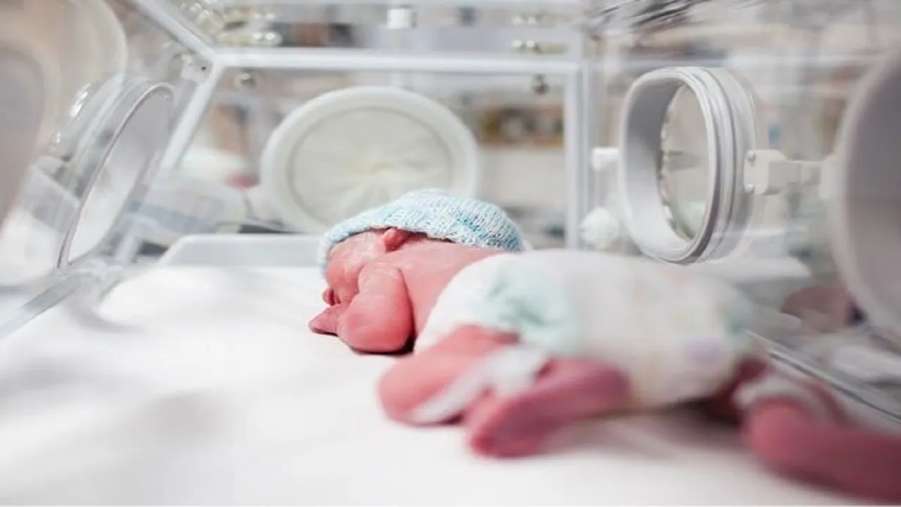 تعداد تولدها به زیر یک میلیون رسیده است