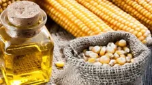 توصیه‌هایی برای داشتن یک رژیم غذایی سالم در فصل سرما
