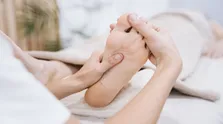 ۶۰ درصد بیماری‌های عفونی منشأ حیوانی دارند