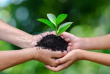 آزردگی سیستم عصبی مرکزی با تولوئن موجود در لاک ناخن