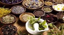 این گیاه را بخورید تا در طول روز تشنه نشوید