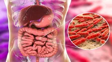ویروس های روده به افزایش طول عمر افراد کمک می کنند