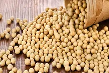 قند و کلسترول خون را  با مصرف عسل کاهش دهید