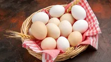 مواد غذایی مفید برای قلب کدامند؟+فیلم