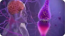 ۵ تست ساده برای سنجش سلامت