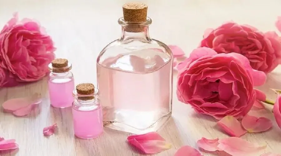 گلاب برای زیبایی و لطافت پوست معجزه می‌کند