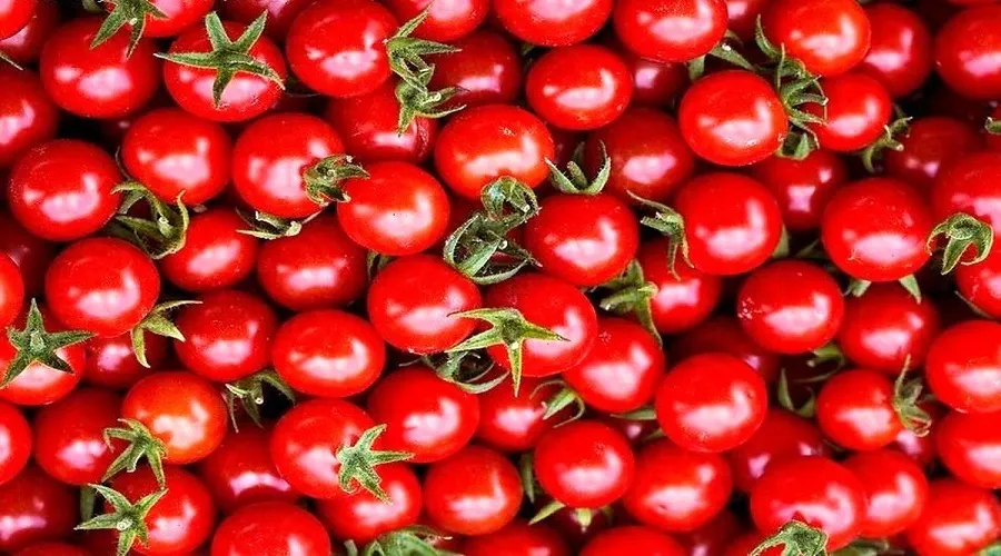 مهار سرطان معده با مصرف عصاره این سبزی پرمصرف