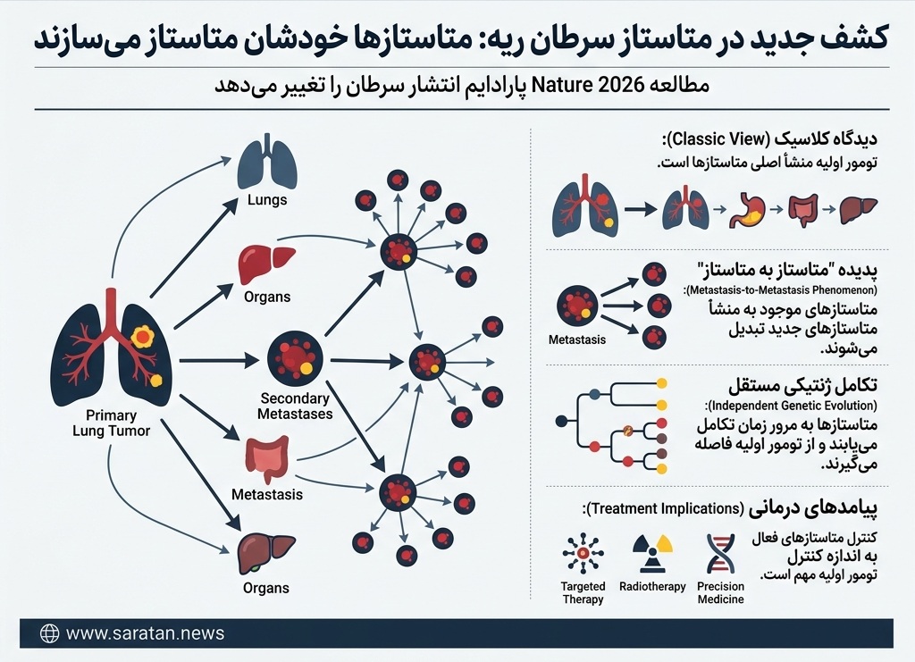 کشف جدید دانشمندان درباره متاستاز سرطان ریه کشف جدید دانشمندان درباره متاستاز سرطان ریه