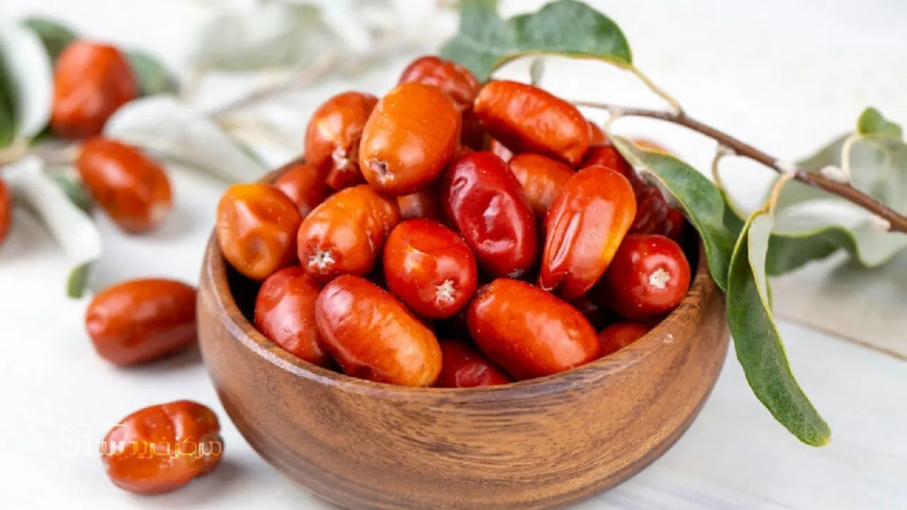 سنجد قوی تر از مسکن