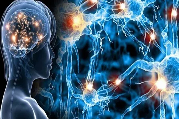 ابتلا به ام اس در کشورهای شمالی بیشتر است