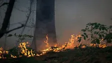 ۳ عامل خطرناک برای قلب