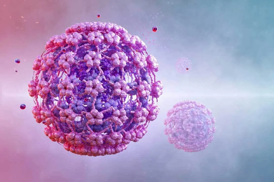 ویروس HPV احتمال مرگ قلبی زنان را افزایش می‌دهد