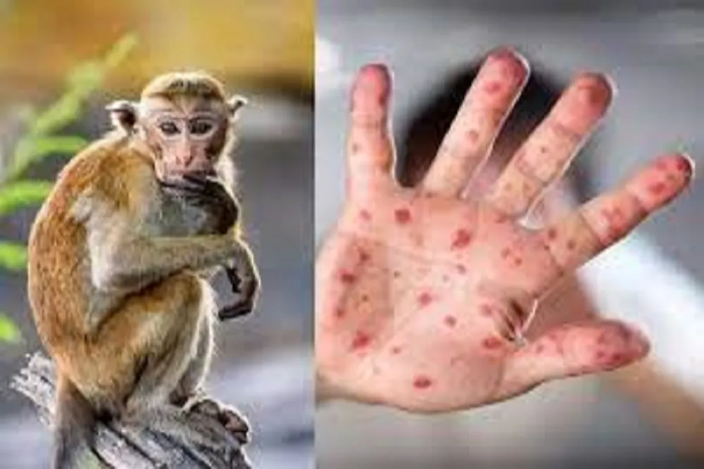 حیوانات خانگی در معرض آبله میمون هستند